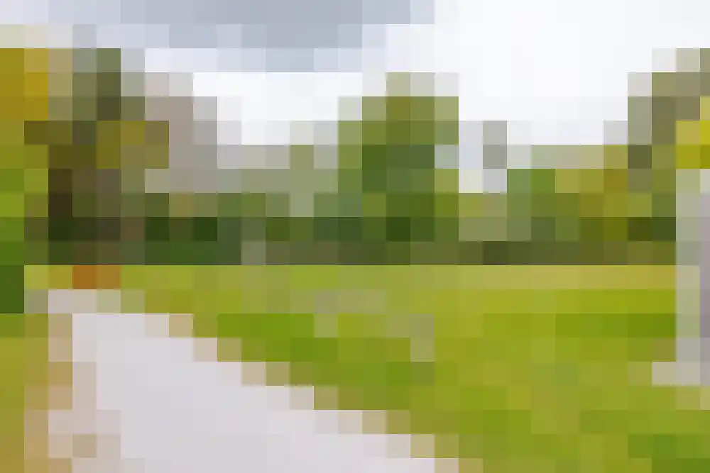 Oosterhiemweg 1 002 Hollum thumbnail 26