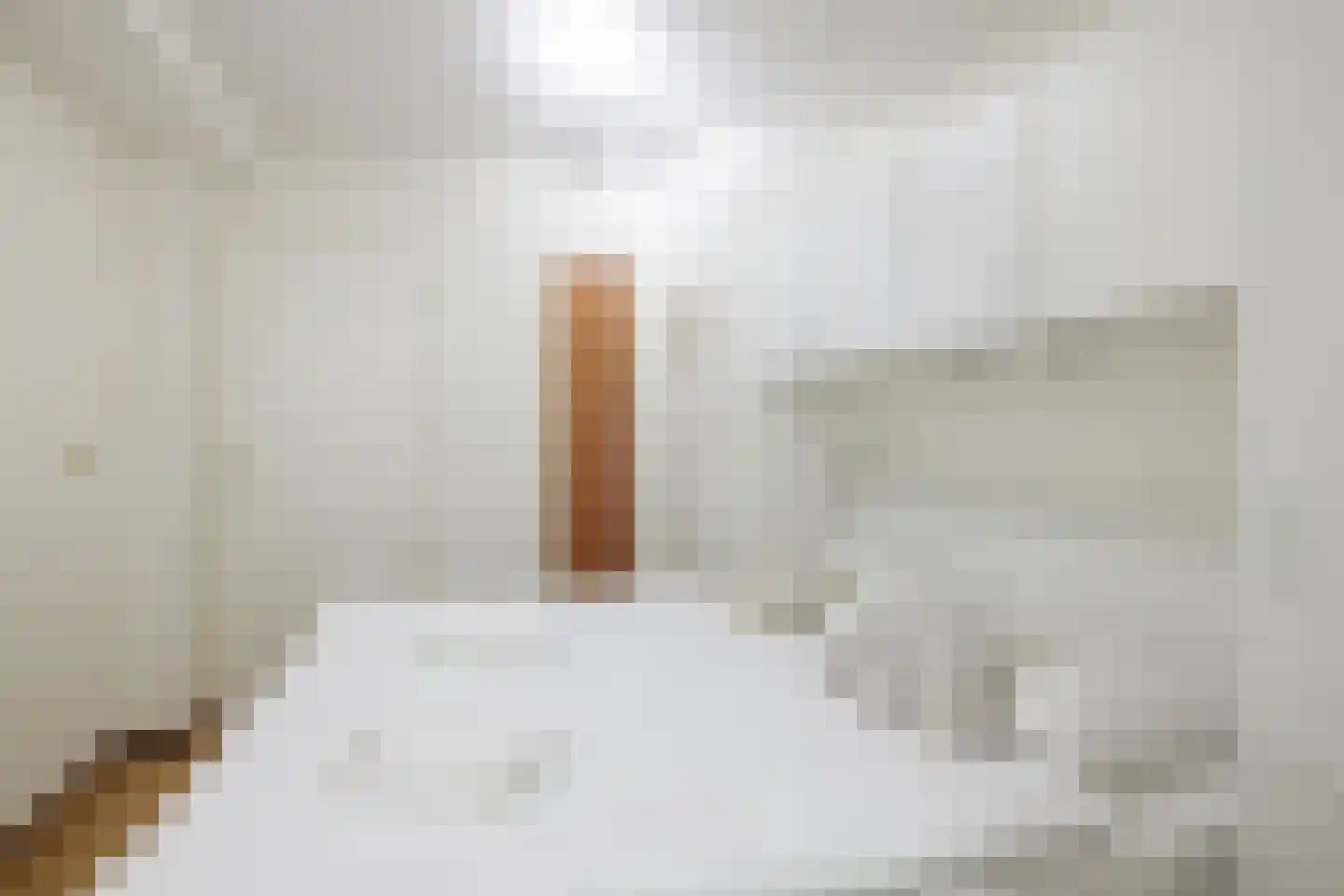 Oosterhiemweg 1 005 Hollum thumbnail 17