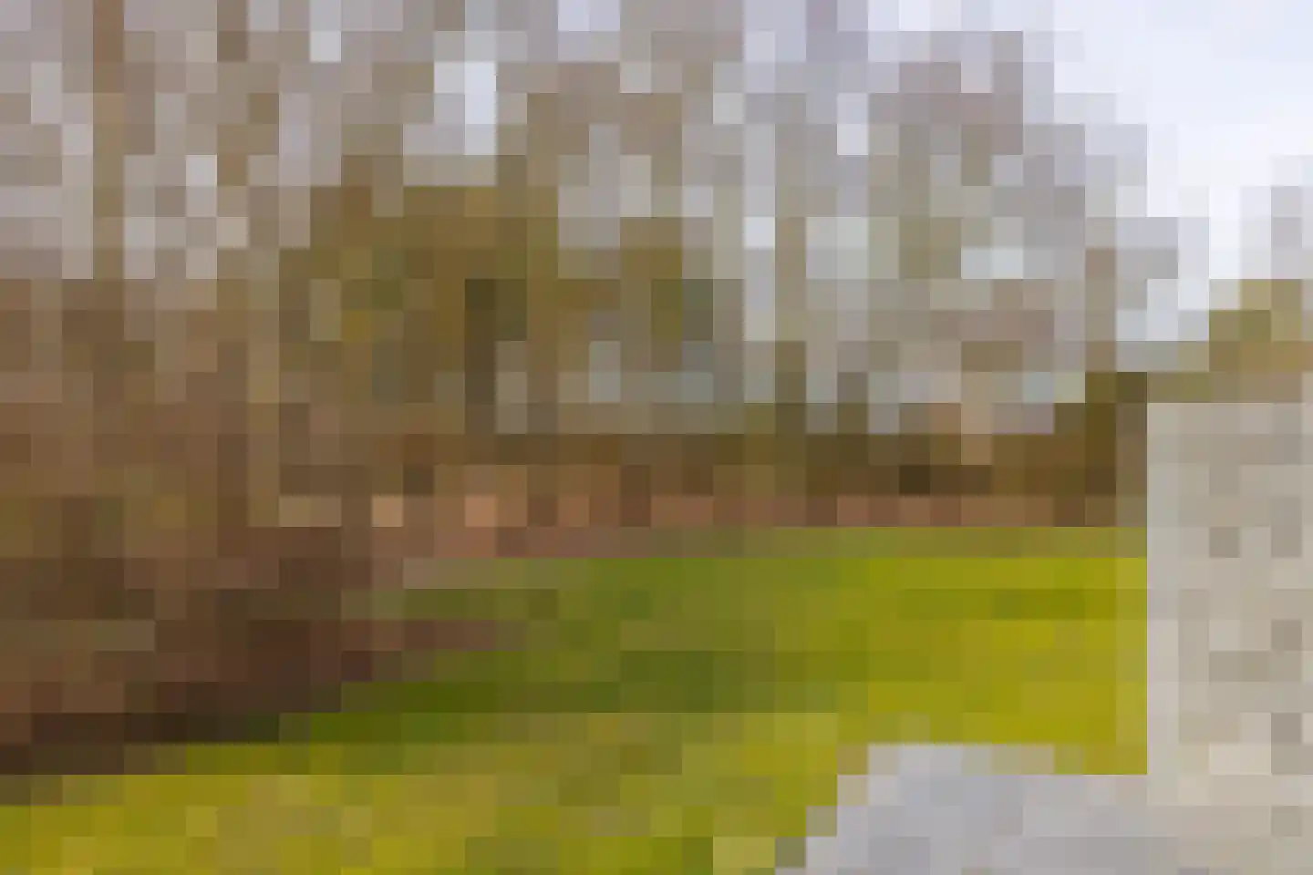 Oosterhiemweg 1 005 Hollum thumbnail 22