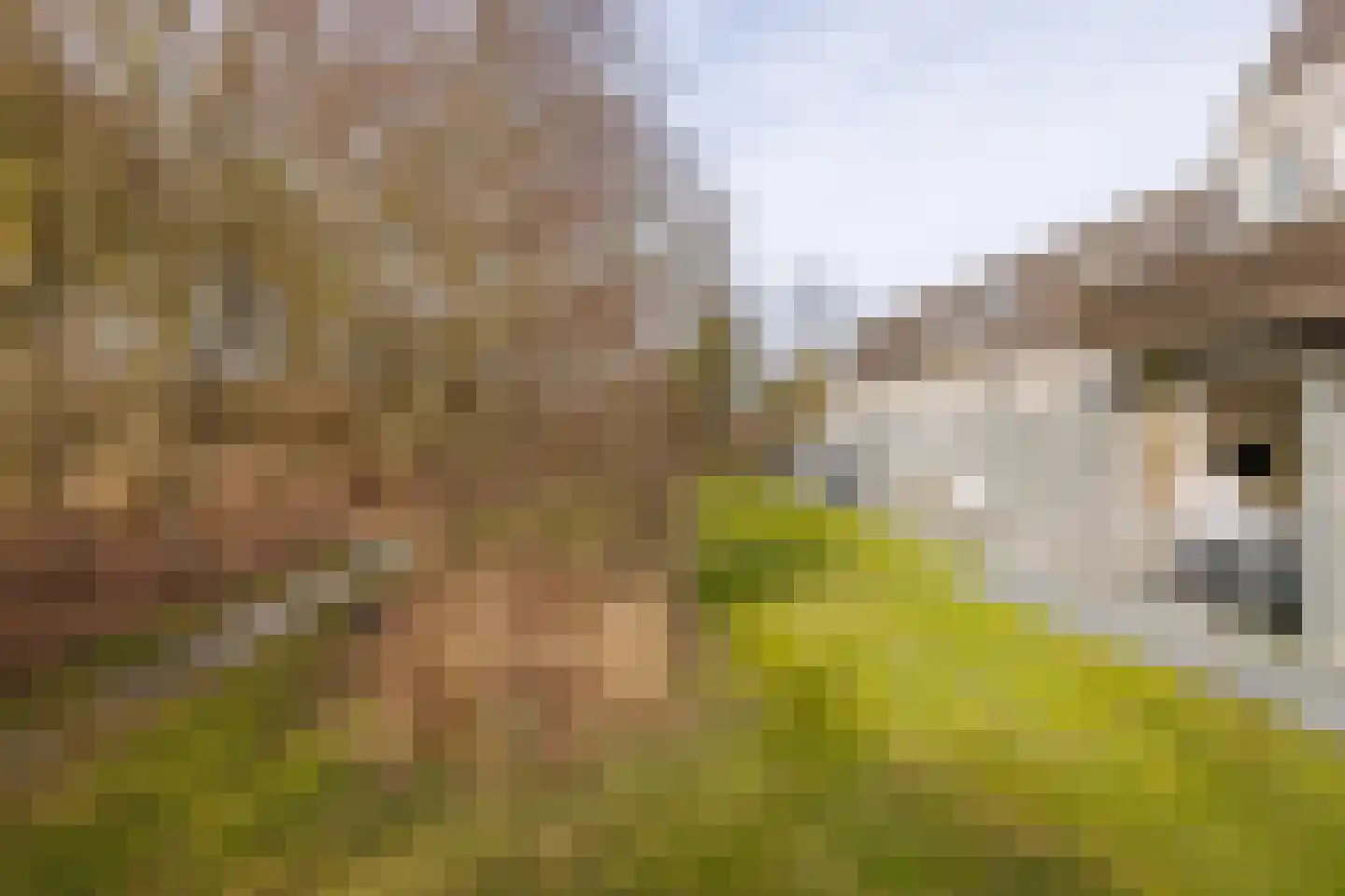 Oosterhiemweg 1 005 Hollum thumbnail 23