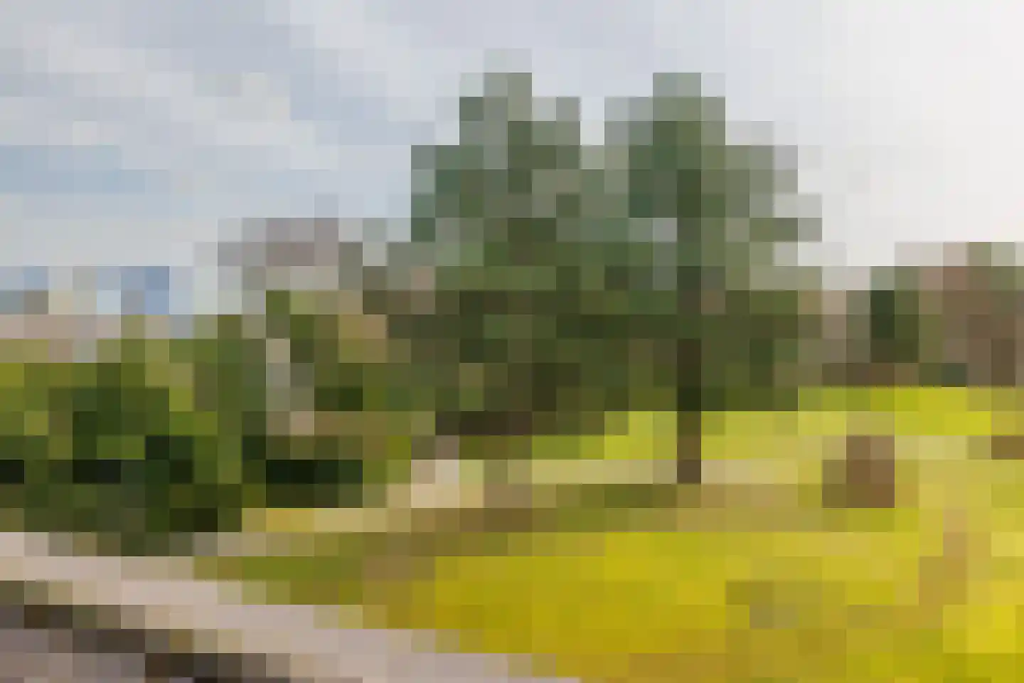Oosterhiemweg 1 036 Hollum thumbnail 29