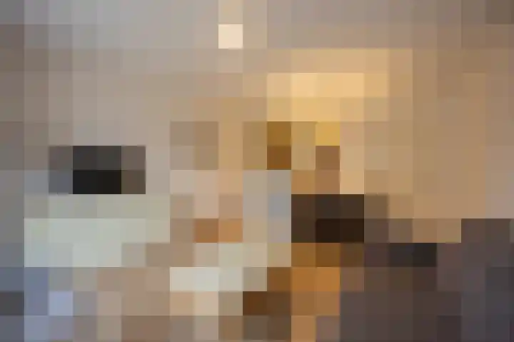 Oosterhiemweg 1 058 Hollum thumbnail 4
