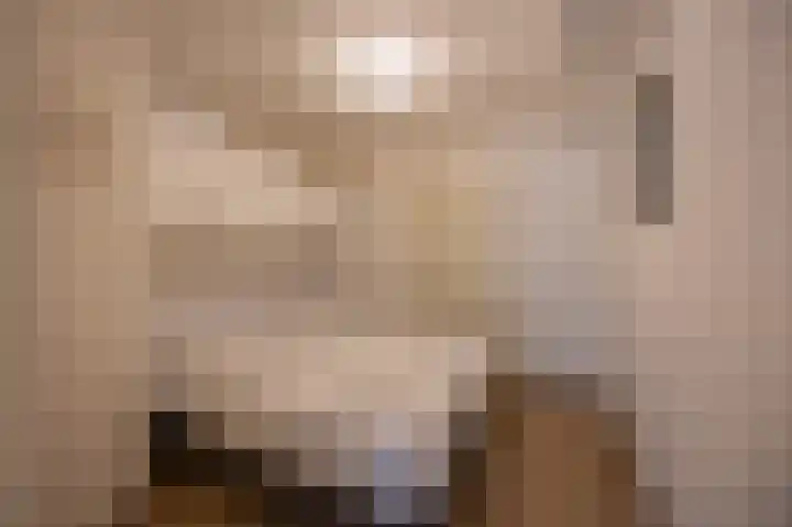 Oosterhiemweg 1 058 Hollum thumbnail 8