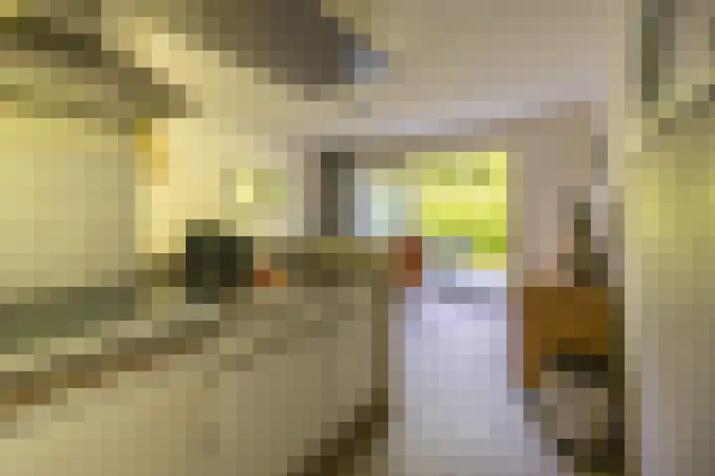 Oosterhiemweg 1 076 Hollum thumbnail 8