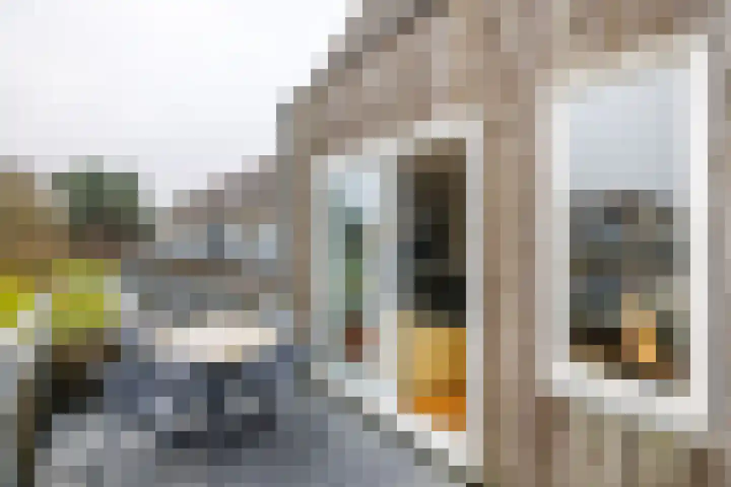 Oosterhiemweg 1 089 Hollum thumbnail 32