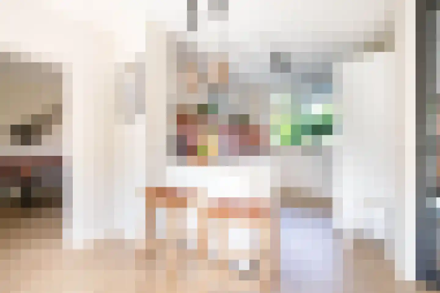 Oosterhoef 23 Bergambacht thumbnail 11