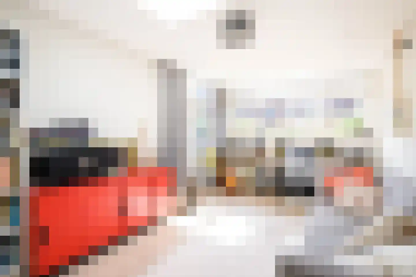 Oosterhoef 23 Bergambacht thumbnail 17
