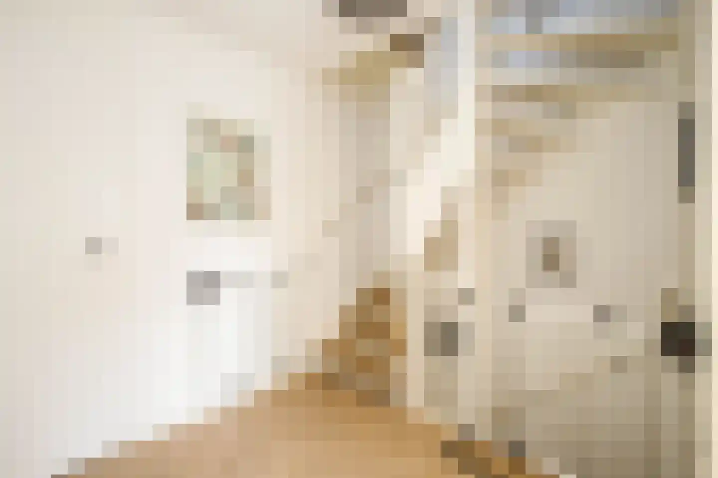 Oosterhoef 23 Bergambacht thumbnail 24