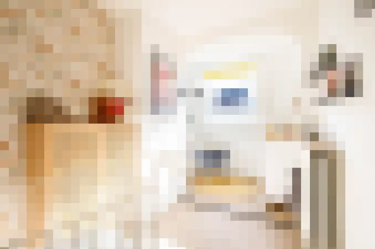 Oosterhoef 23 Bergambacht thumbnail 26