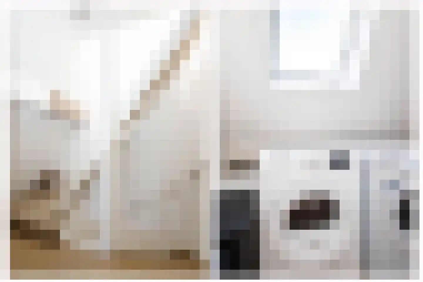 Oosterhoef 23 Bergambacht thumbnail 27