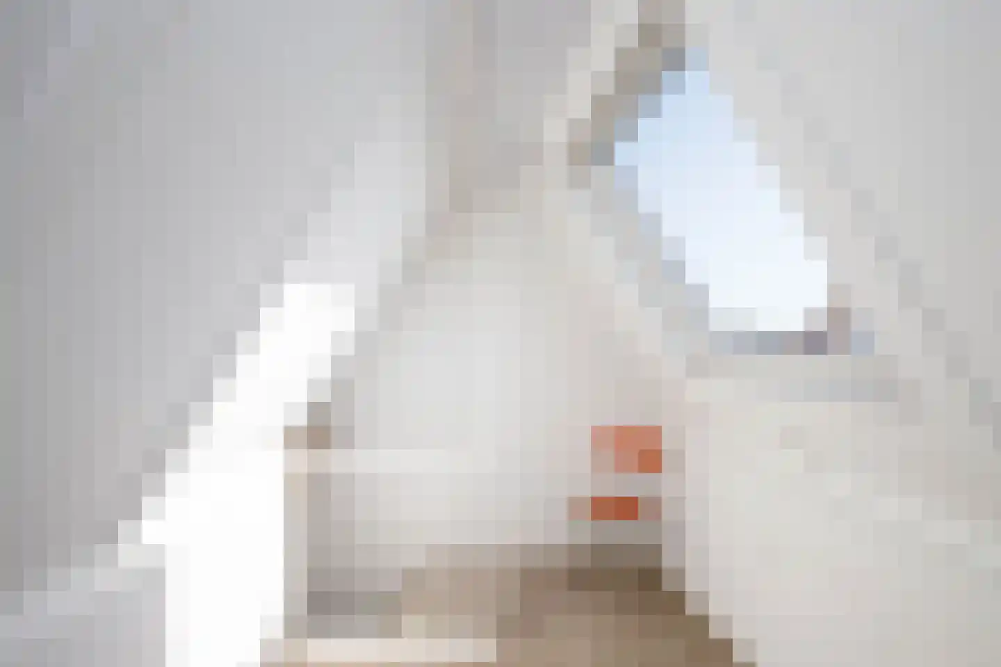 Oosterhoef 23 Bergambacht thumbnail 28