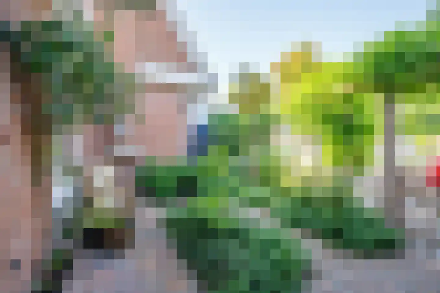 Oosterhoef 23 Bergambacht thumbnail 34