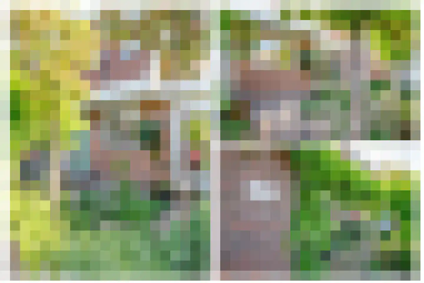 Oosterhoef 23 Bergambacht thumbnail 6