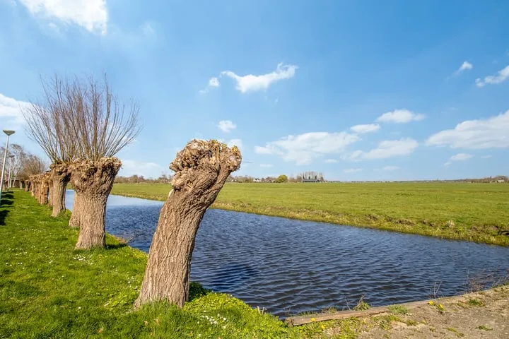 Oosterhoef 30 Bergambacht thumbnail 41