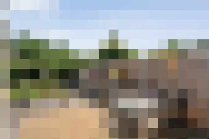 Oosterhoek 21 Tuk thumbnail 32