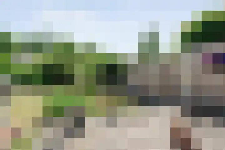 Oosterhoek 21 Tuk thumbnail 34