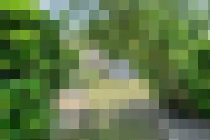 Oosterhoek 21 Tuk thumbnail 37