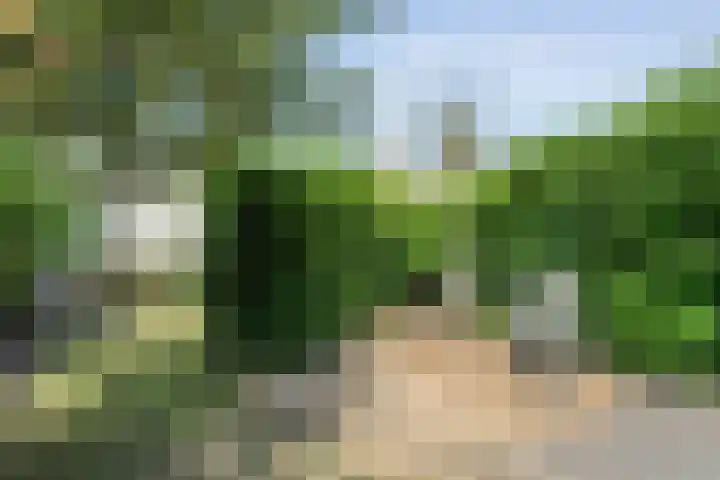 Oosterhoek 21 Tuk thumbnail 38