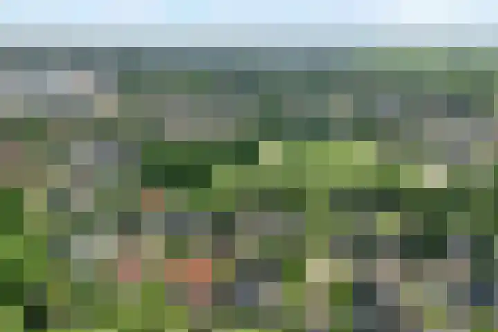 Oosterhoek 21 Tuk thumbnail 4