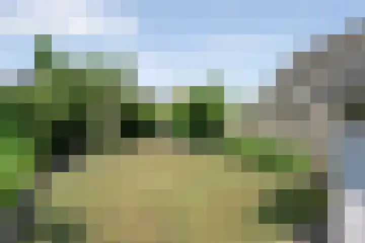 Oosterhoek 21 Tuk thumbnail 40