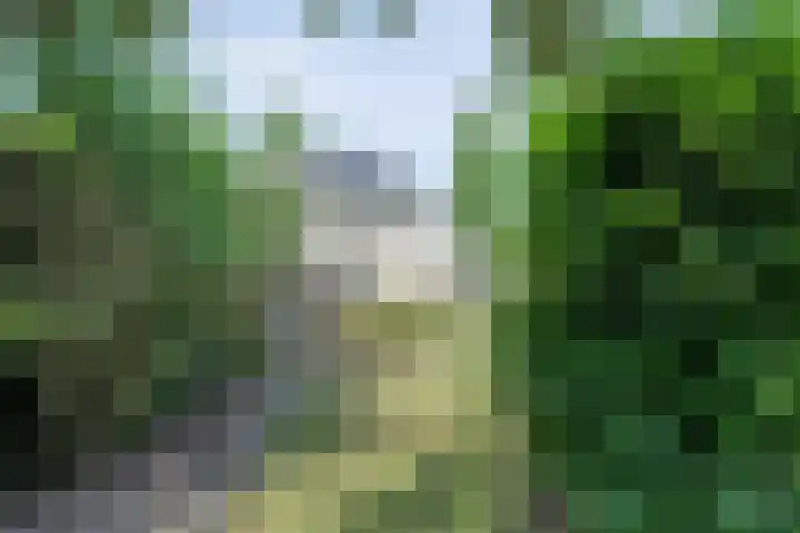 Oosterhoek 21 Tuk thumbnail 41