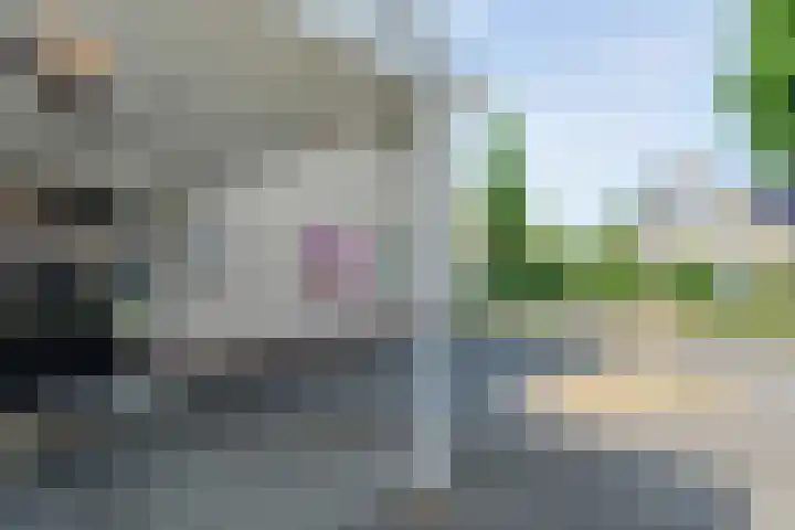 Oosterhoek 21 Tuk thumbnail 42