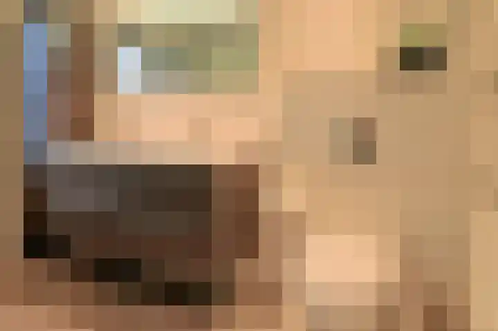 Oosterhoek 45 Tuk thumbnail 24