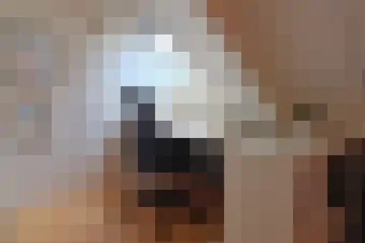 Oosterhoek 45 Tuk thumbnail 25
