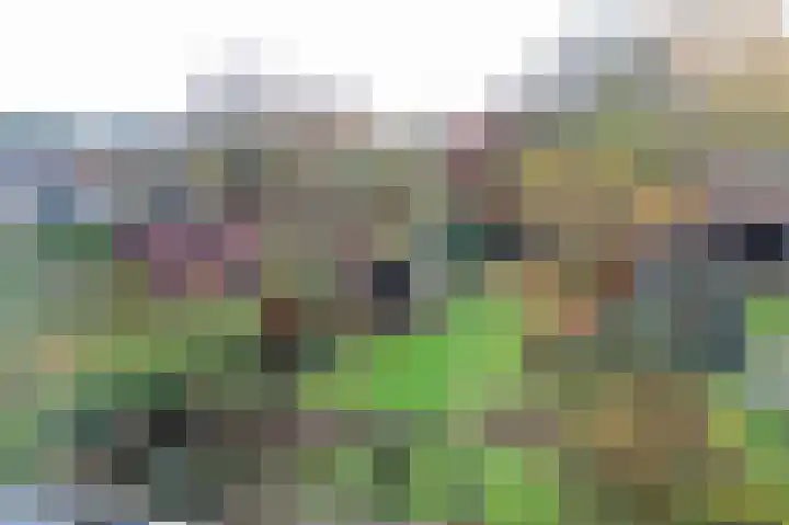 Oosterhoek 45 Tuk thumbnail 29