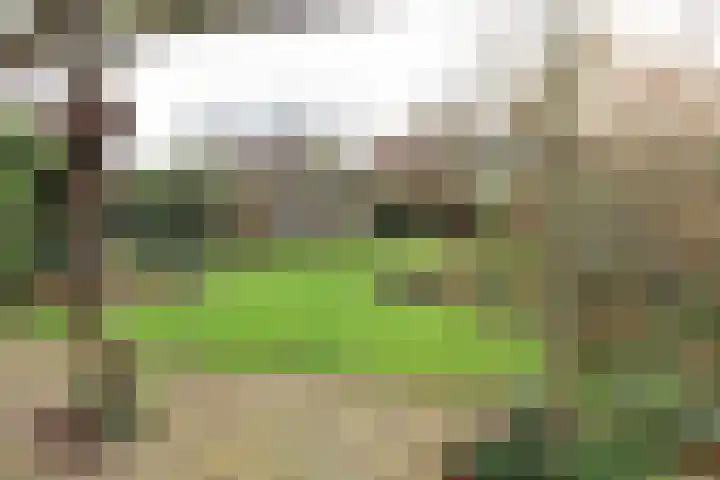 Oosterhoek 45 Tuk thumbnail 30