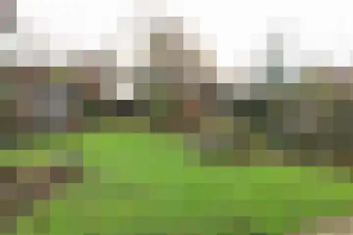 Oosterhoek 45 Tuk thumbnail 31