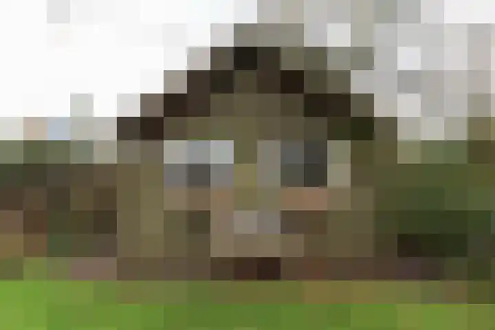 Oosterhoek 45 Tuk thumbnail 33
