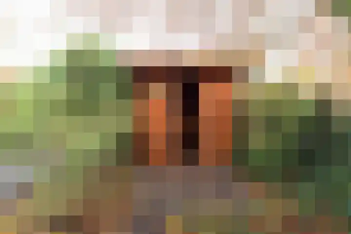 Oosterhoek 45 Tuk thumbnail 34