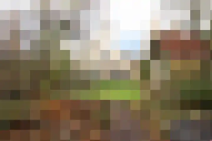 Oosterhoek 45 Tuk thumbnail 35