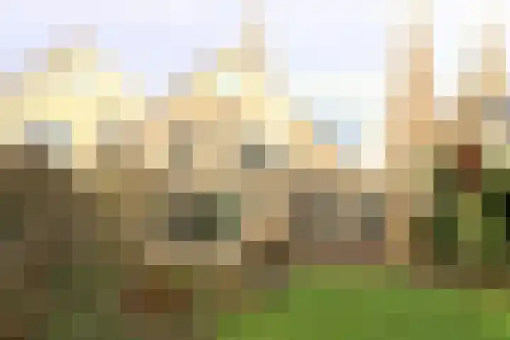 Oosterhoek 45 Tuk thumbnail 36