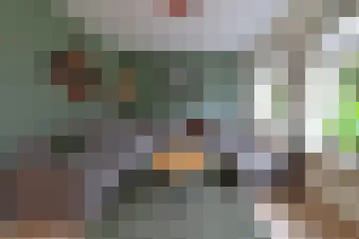 Oosterhoek 45 Tuk thumbnail 8