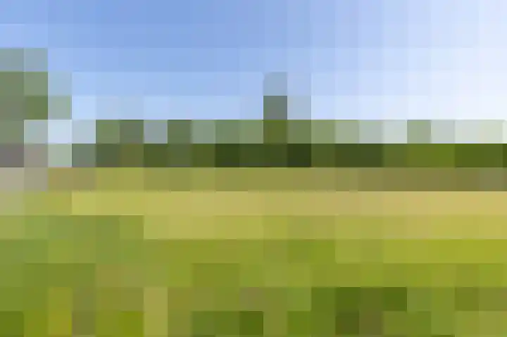 Oosterhoek 5 Tuk thumbnail 17