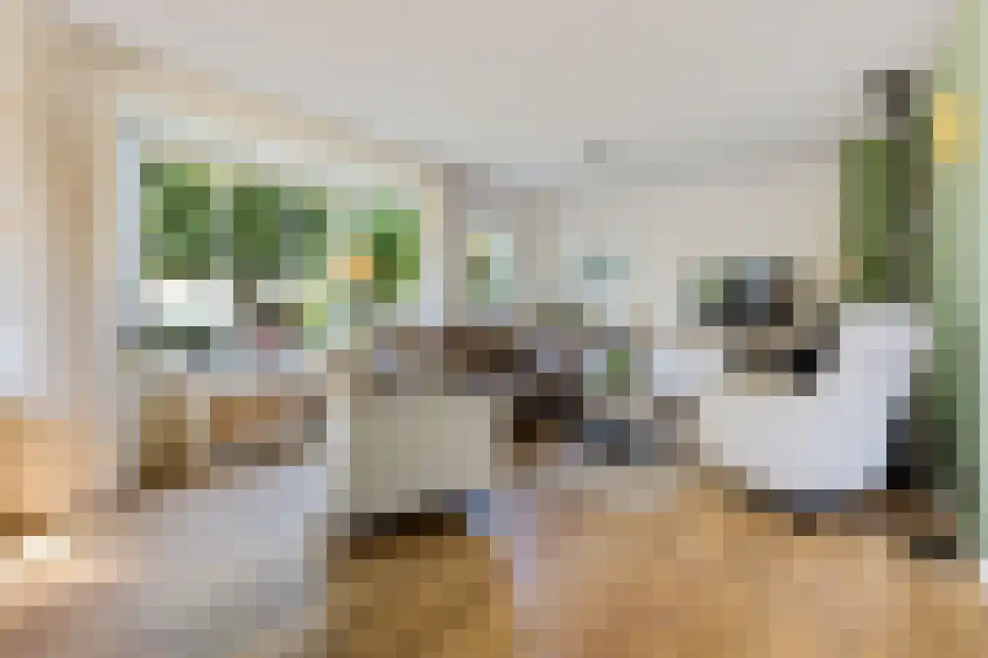 Oosterhoek 8 Tuk thumbnail 13