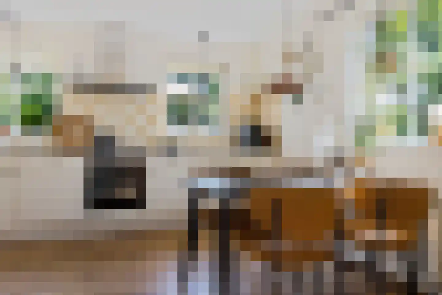 Oosterhoek 8 Tuk thumbnail 17