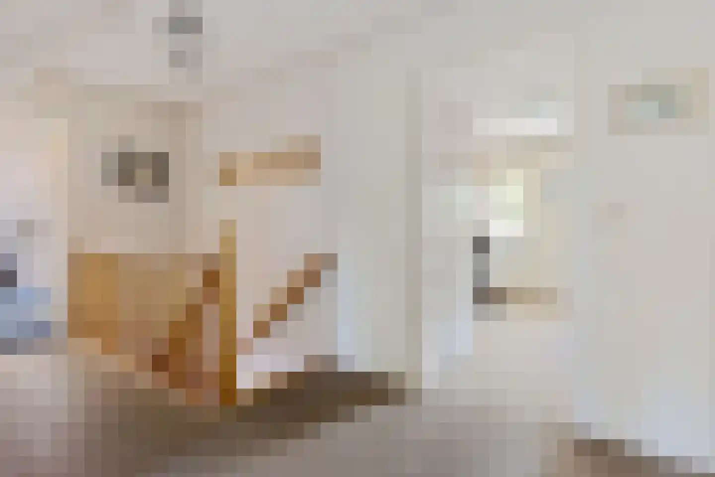 Oosterhoek 8 Tuk thumbnail 29