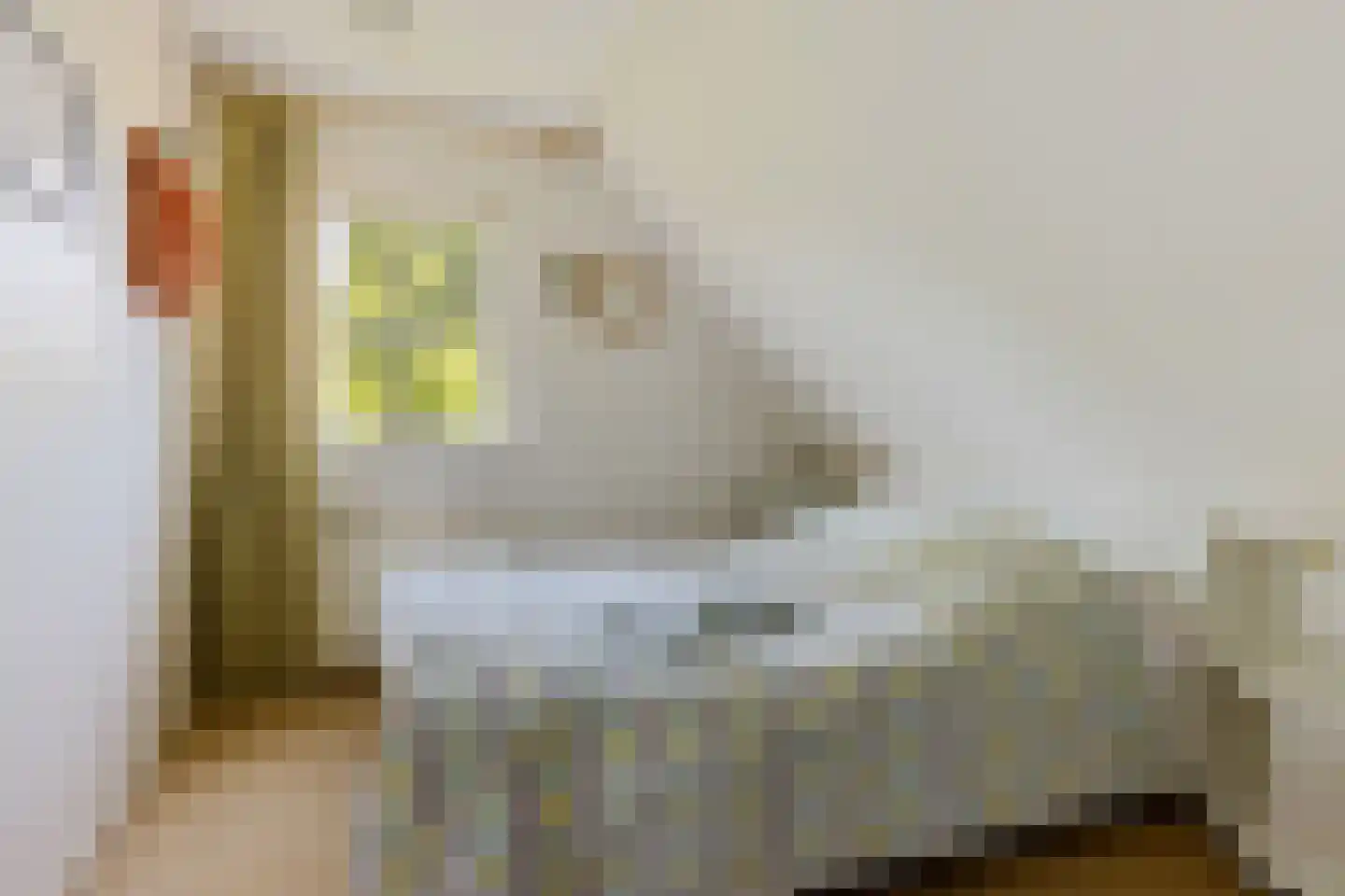 Oosterhoek 8 Tuk thumbnail 30