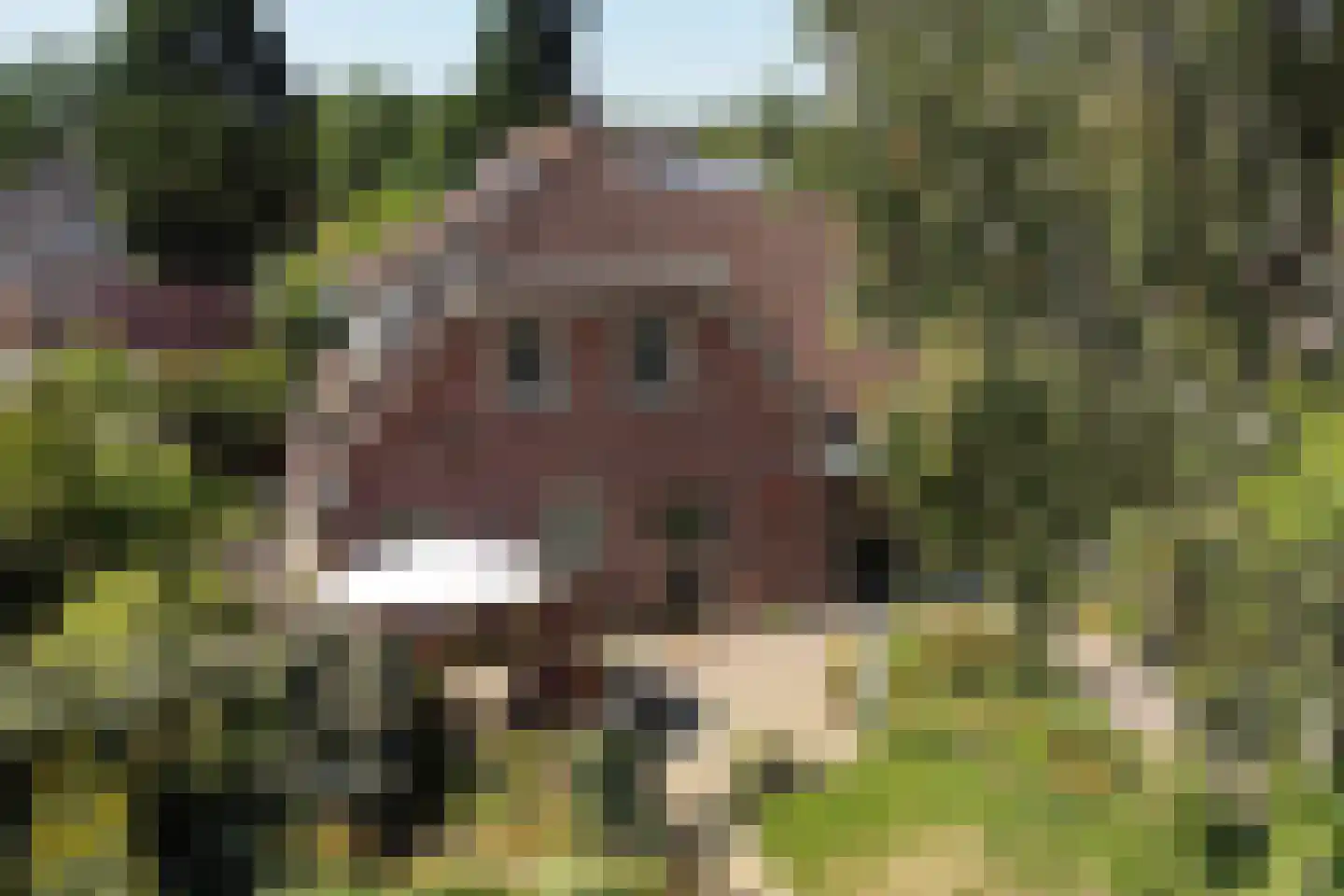 Oosterhoek 8 Tuk thumbnail 38
