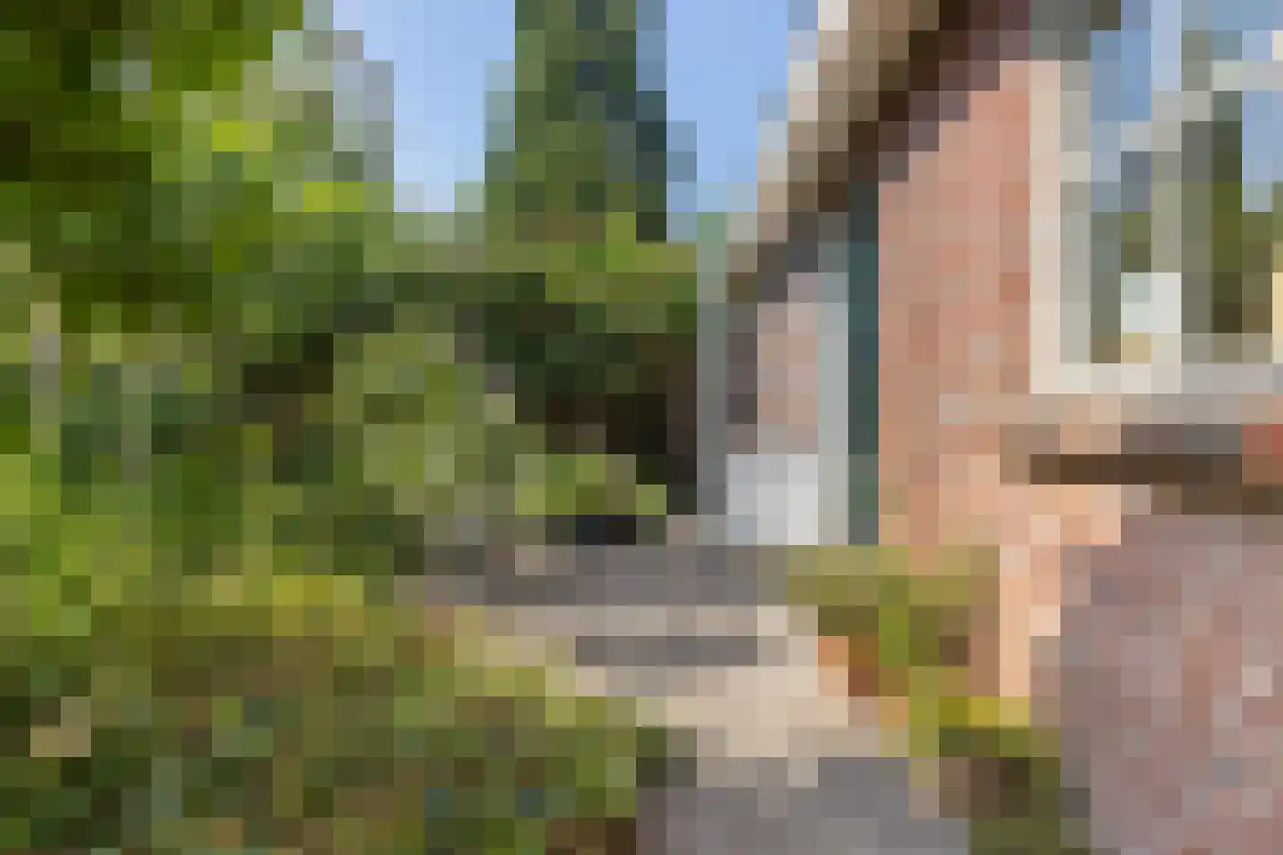 Oosterhoek 8 Tuk thumbnail 45