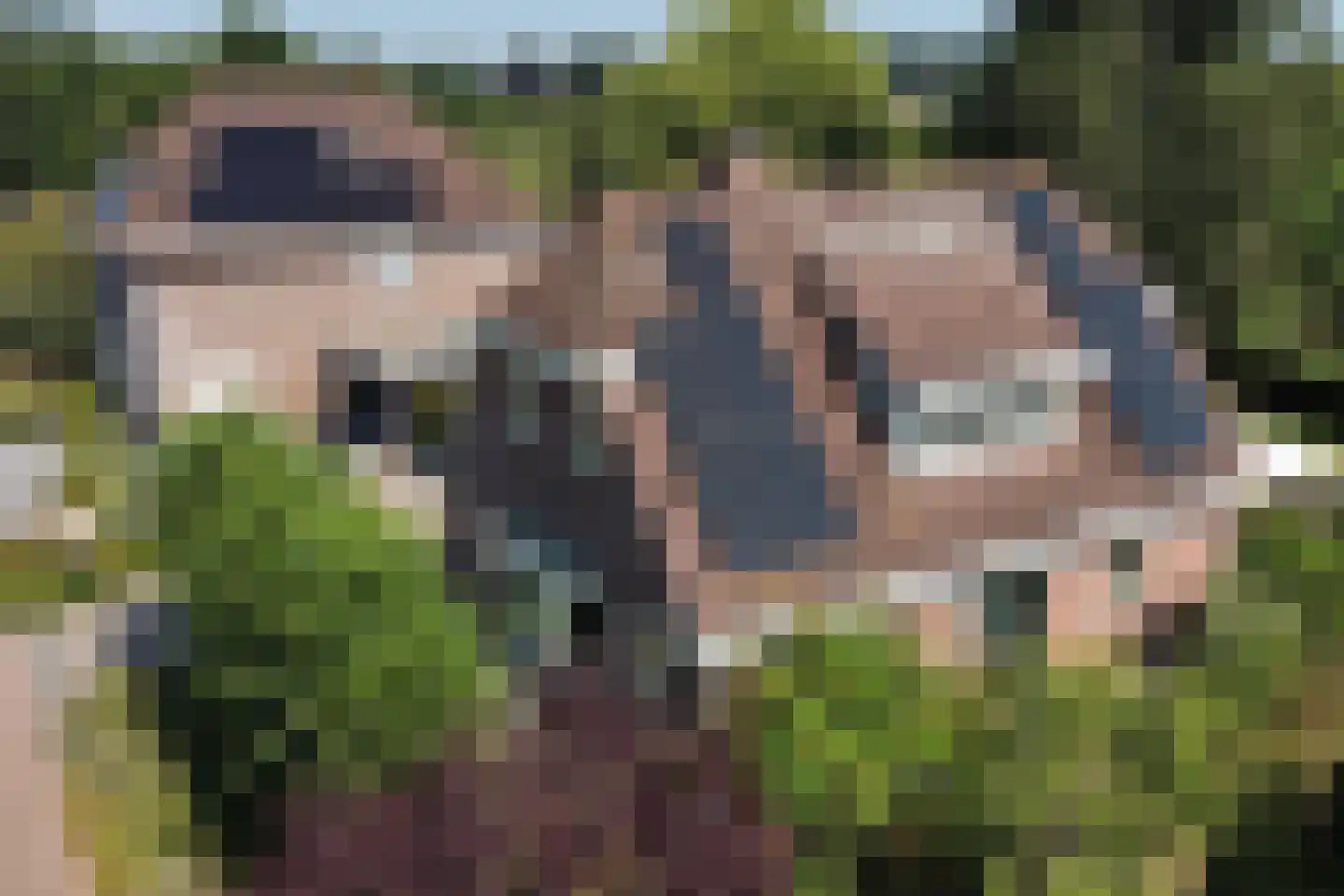 Oosterhoek 8 Tuk thumbnail 46