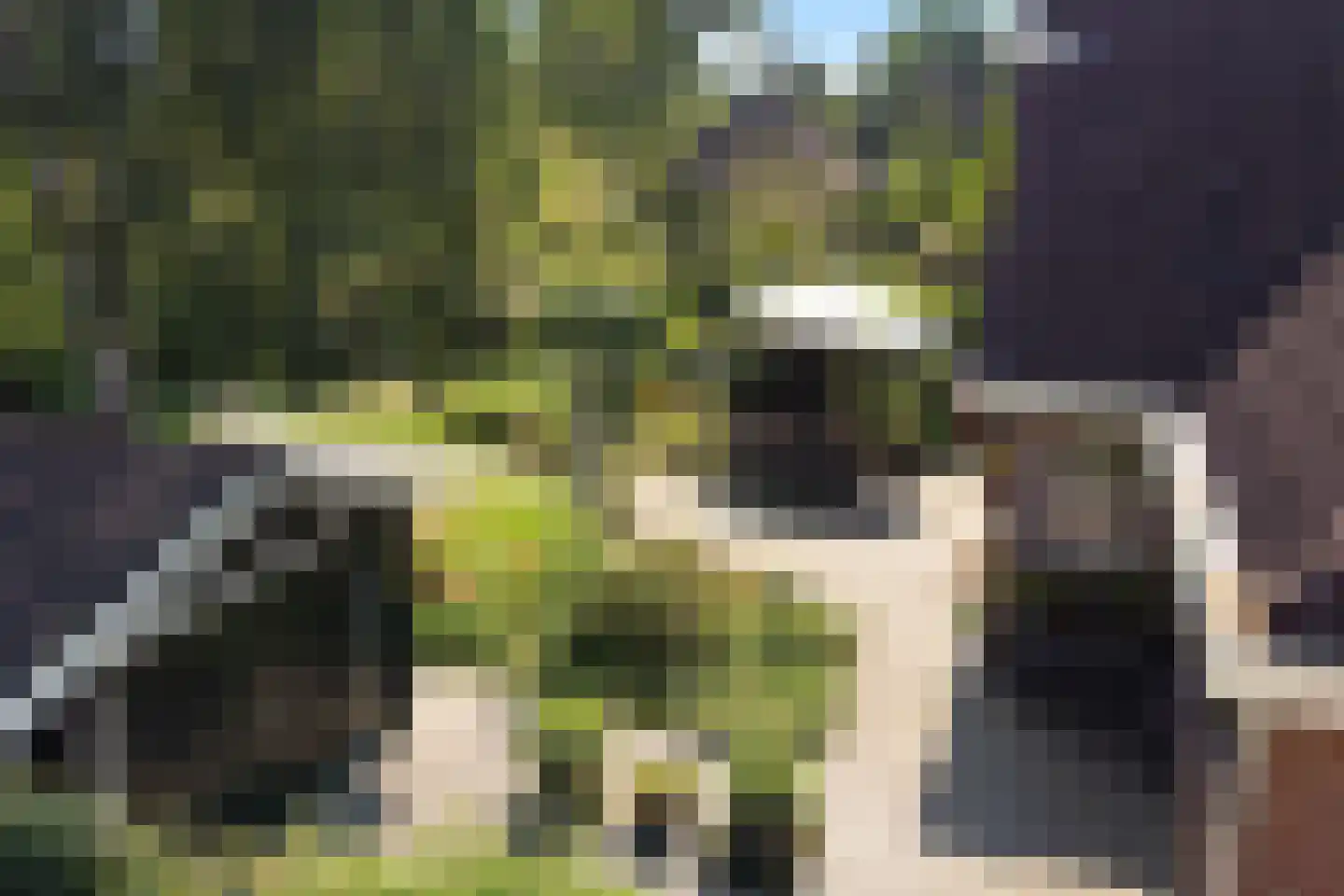 Oosterhoek 8 Tuk thumbnail 47