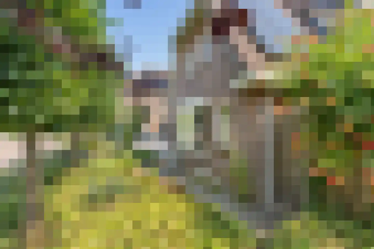 Oosterhoek 8 Tuk thumbnail 6