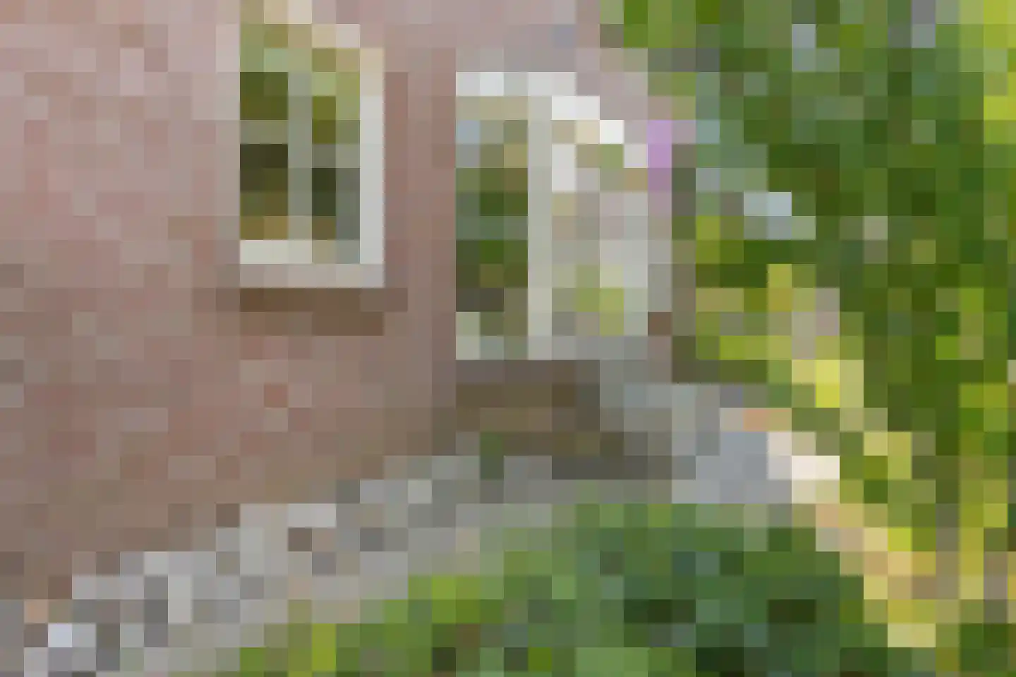 Oosterhoek 8 Tuk thumbnail 7