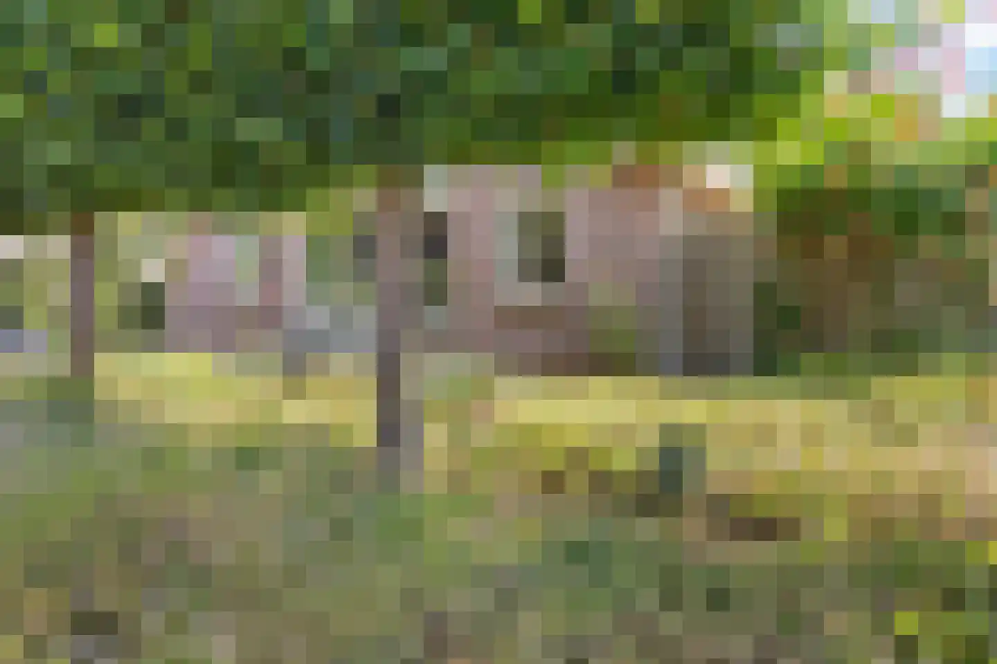 Oosterhoek 8 Tuk thumbnail 8