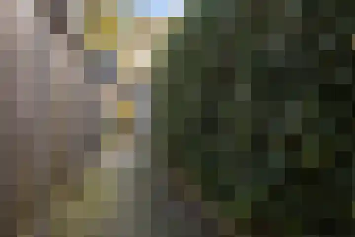 Oosterhof 17 Enschede thumbnail 40