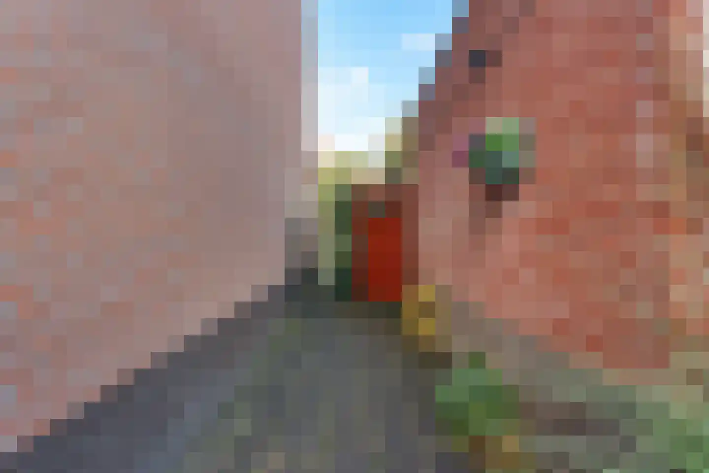 Oosterhof 18 Enschede thumbnail 29